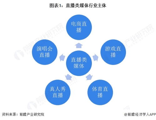 2025年中國傳媒行業細分市場分析 技術賦能與垂類深耕驅動下的網絡技術開發生態