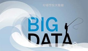 大數據服務的崛起 機遇、挑戰與深遠影響